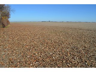 Tract 3 - FARMLAND AUCTION - 165.5+/- ACRES OFFERED IN 5 TRACTS OR COMBINATIONS IN EAST ALLEN COUNTY